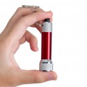 Portable 5 Led Mini Flashlight