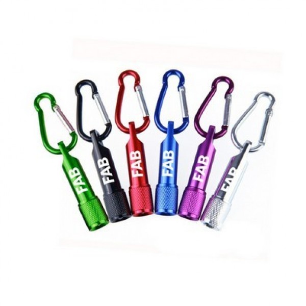 Carabiner and Flashlight Keychain