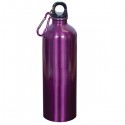 25 oz.Stainless Steel Water Bottle