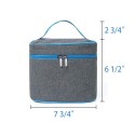 Six-Pack Insulated Lunch Tote