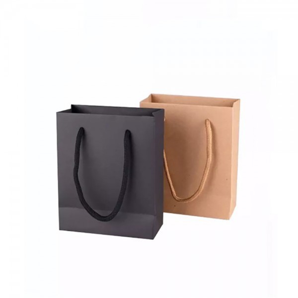 Shopping Paper Bag