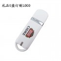 Plastic USB Flash Drives