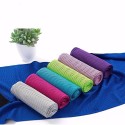 Sports Cooling Towel