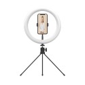 10 In. Selfie Ring Light