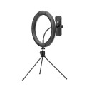 10 In. Selfie Ring Light