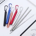 Stainless Steel Telescopic Straw Set