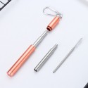 Stainless Steel Telescopic Straw Set