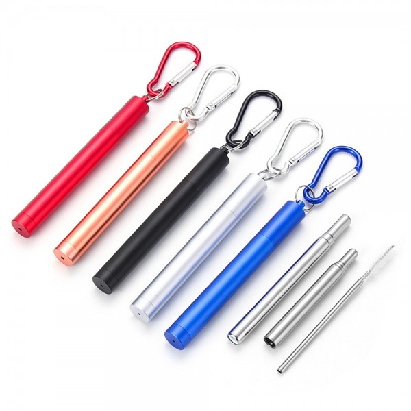 Stainless Steel Telescopic Straw Set