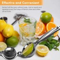 Stainless Steel Lemon Juicer Hand Press