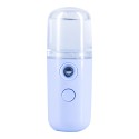 Mini Portable Handheld Face Steamer