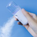 Mini Portable Handheld Face Steamer