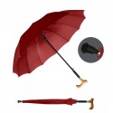 Climbing Umbrella / Crutch Umbrella