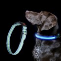 Led Dog Collar