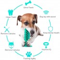 Dog Toothbrush Chew Toys