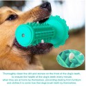 Dog Toothbrush Chew Toys