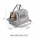 Pet Travel Carrier