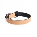 Adjustable Pet Collar Dog Leash