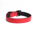 Adjustable Pet Collar Dog Leash