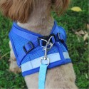 Puppy Harness and Leash Set