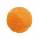 Pet Fetch Toy Tennis Ball