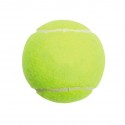 Pet Fetch Toy Tennis Ball