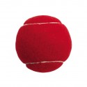 Pet Fetch Toy Tennis Ball