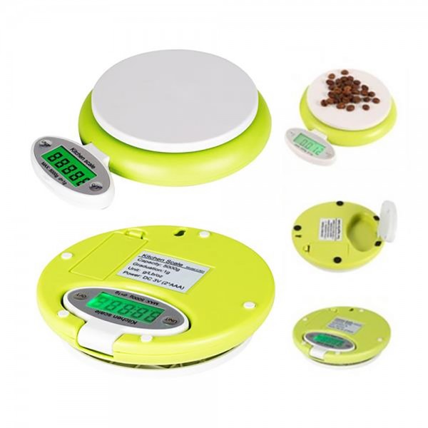 Folding Digital Scale